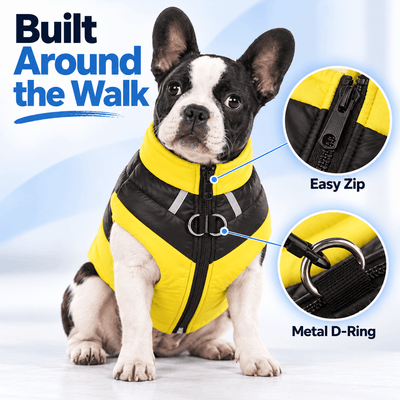 Pawxify FrostTrail  Reflective Winter Dog Jacket