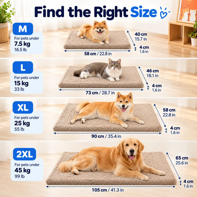Pawxify CloudRest 3D Foam Dog Bed