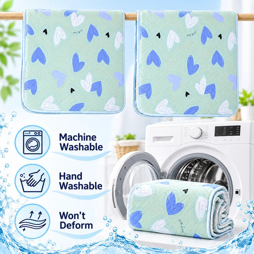 Pawxify Washable Pet Training Pads – 2 Pack