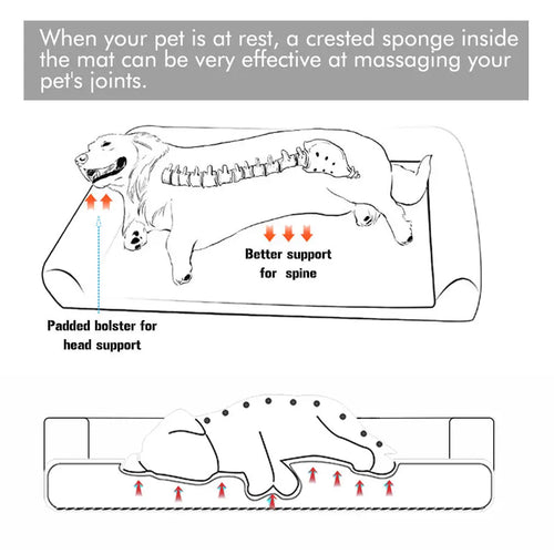 Pawxify CloudRest Orthopedic Bolster Dog Bed