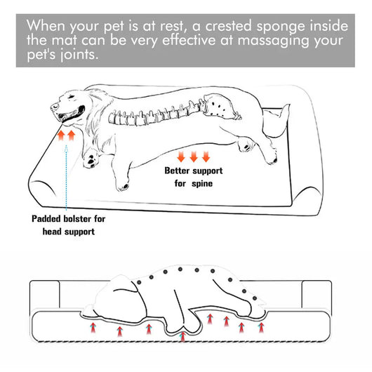 Pawxify CloudRest Orthopedic Bolster Dog Bed