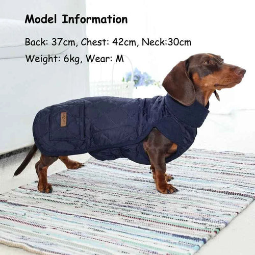 Pawxify LongFit Dachshund Winter Coat