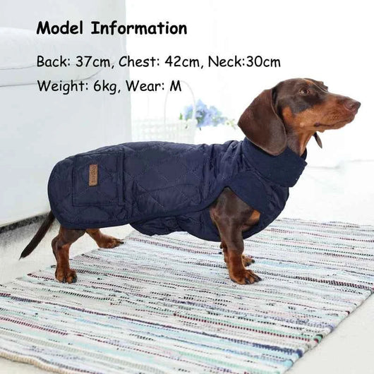 Pawxify LongFit Dachshund Winter Coat