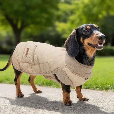 Pawxify LongFit Dachshund Winter Coat