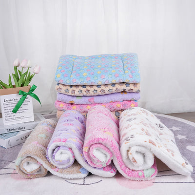 Pawxify CozyPaws Double-Layer Plush Pet Blanket
