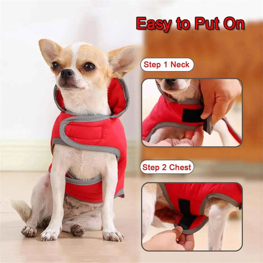 Pawxify DuoWarm Reversible Winter Dog Coat