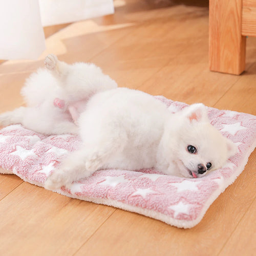 Pawxify CozyPaws Double-Layer Plush Pet Blanket