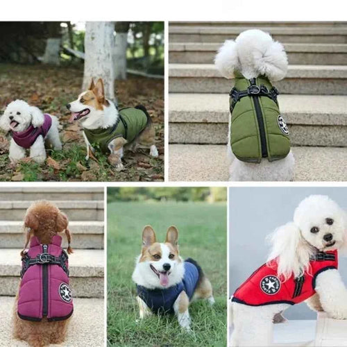 Pawxify ShieldWalk Winter Dog Coat with Built-In Harness