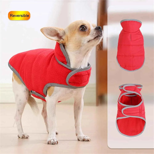 Pawxify DuoWarm Reversible Winter Dog Coat