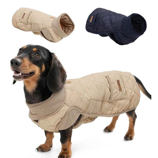 Pawxify LongFit Dachshund Winter Coat