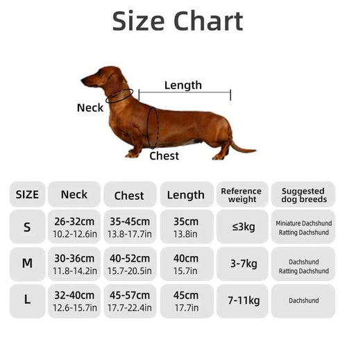 Pawxify LongFit Dachshund Winter Coat