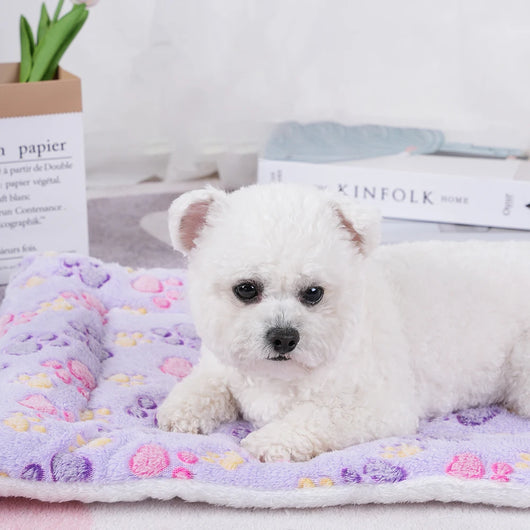 Pawxify CozyPaws Double-Layer Plush Pet Blanket
