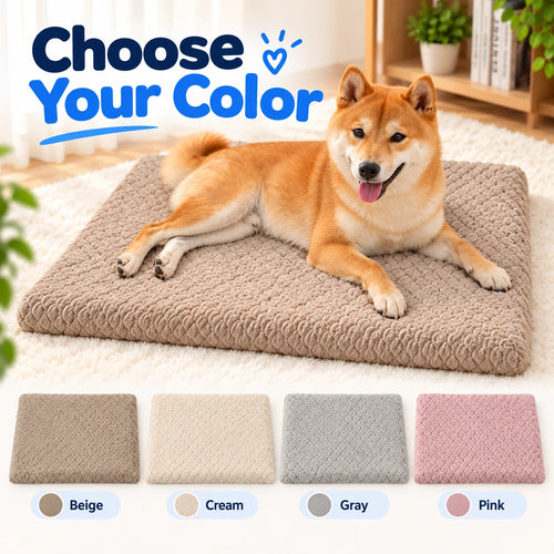 Pawxify CloudRest 3D Foam Dog Bed