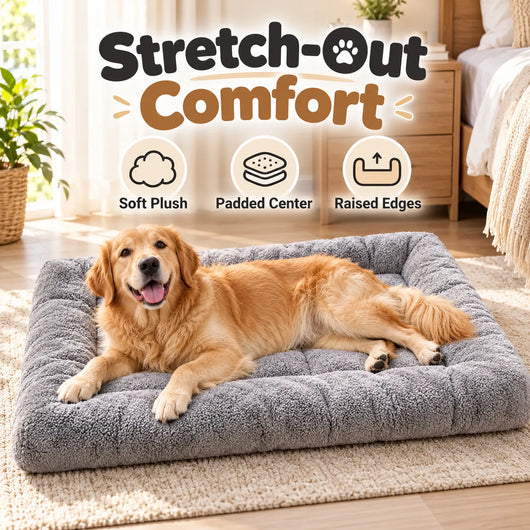 Pawxify Stretch & Rest Plush Bolster Dog Bed